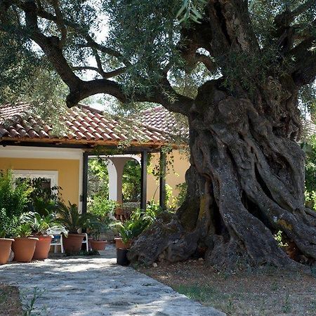 Villa Christina Zakynthos Exterior foto